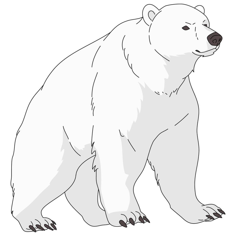 bianca orso famiglia vettore