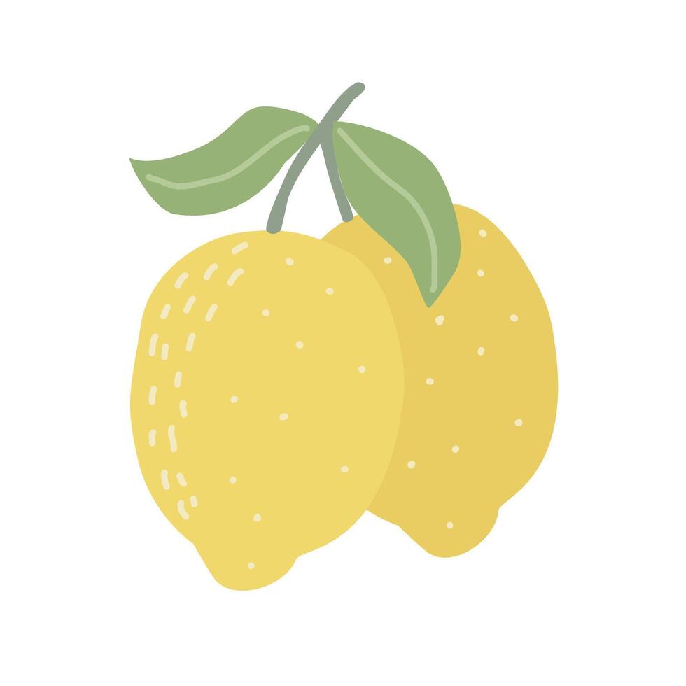 moderno limoni su ramo isolato su bianca sfondo vettore