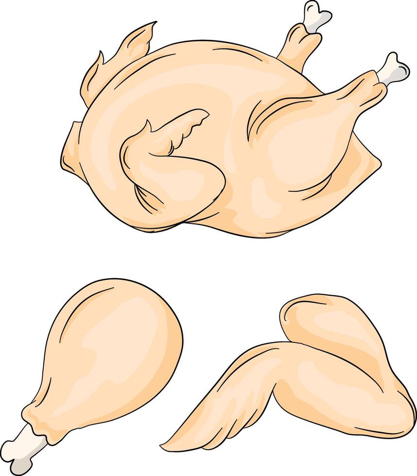 un' impostato di crudo pollo pezzi. pollo gambe, Ali e totale pelato pollo. piatto cartone animato vettore illustrazione isolato su bianca sfondo.