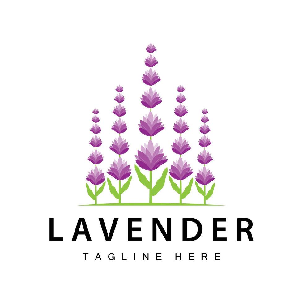 lavanda logo semplice design vettore cosmetico pianta viola colore e aromaterapia lavanda fiore giardino modello