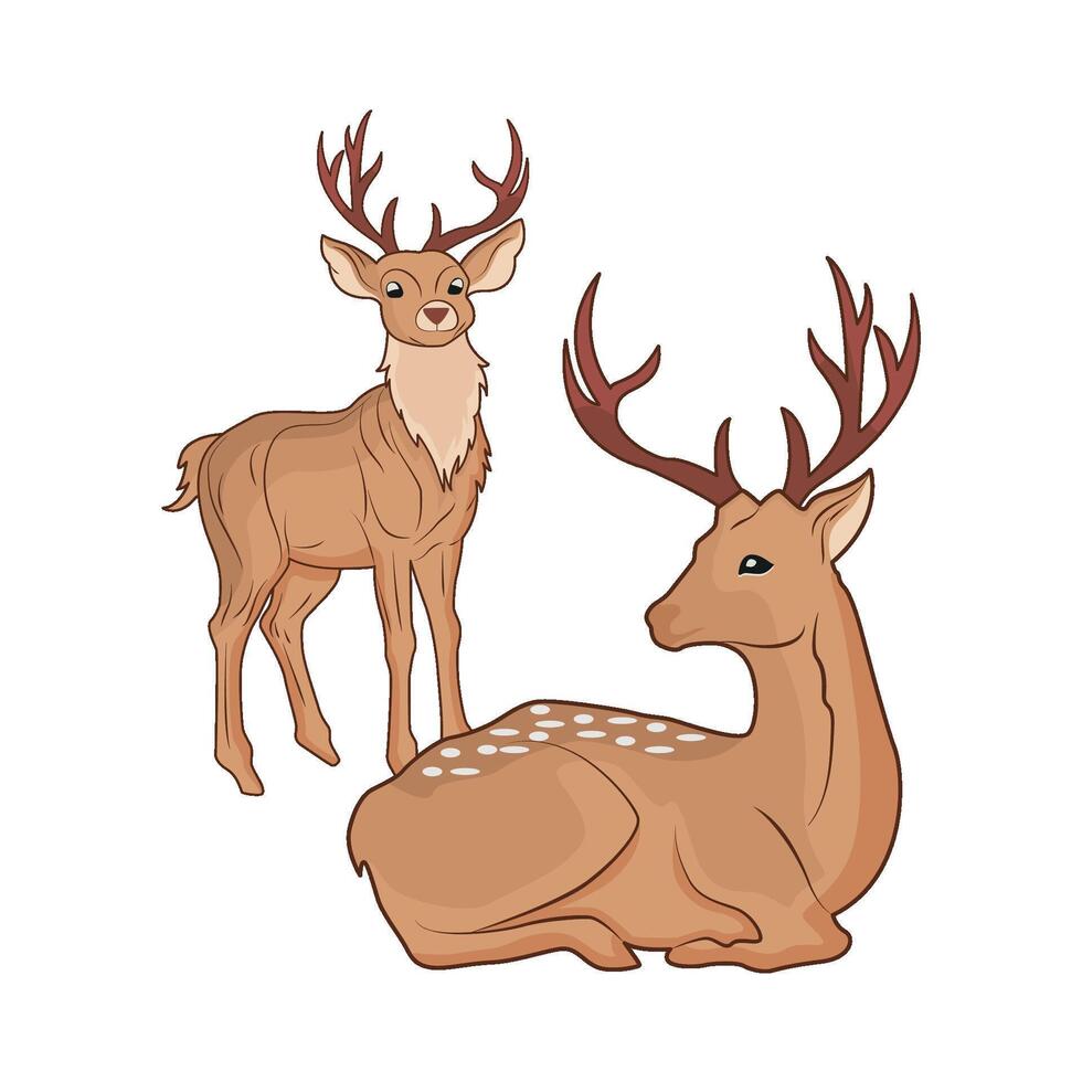 illustrazione di Due cervo vettore