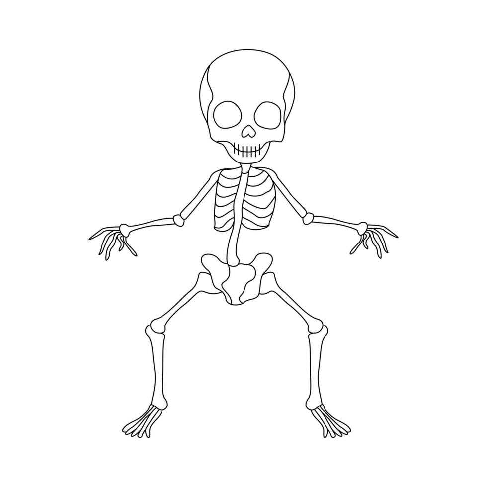 continuo uno linea scheletro disegno schema vettore arte illustrazione