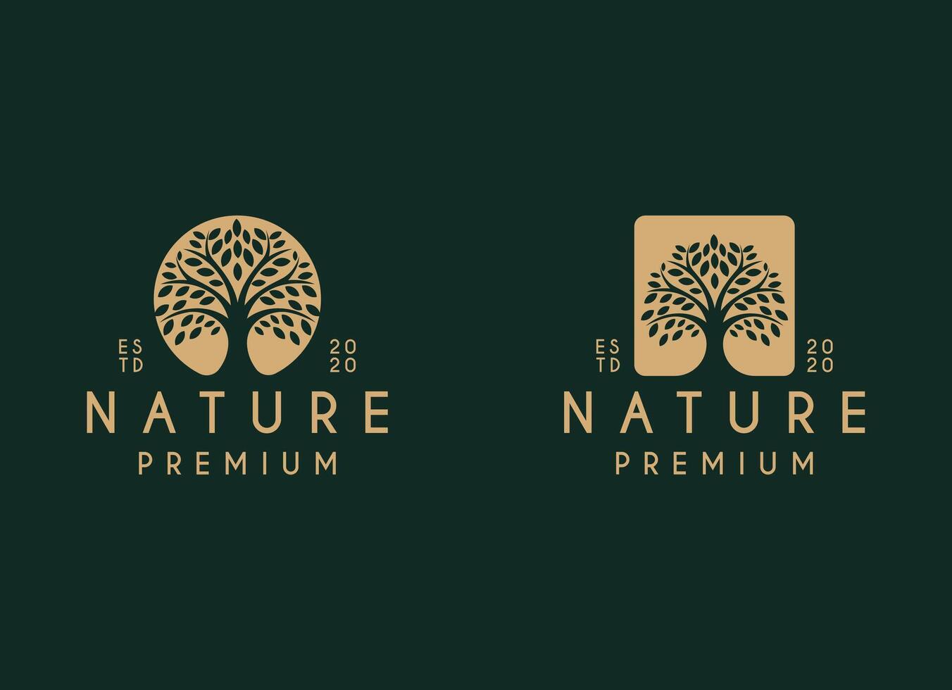 natura albero logo design. giardino pianta naturale simboli modello. albero di vita ramo con le foglie attività commerciale cartello collezione vettore