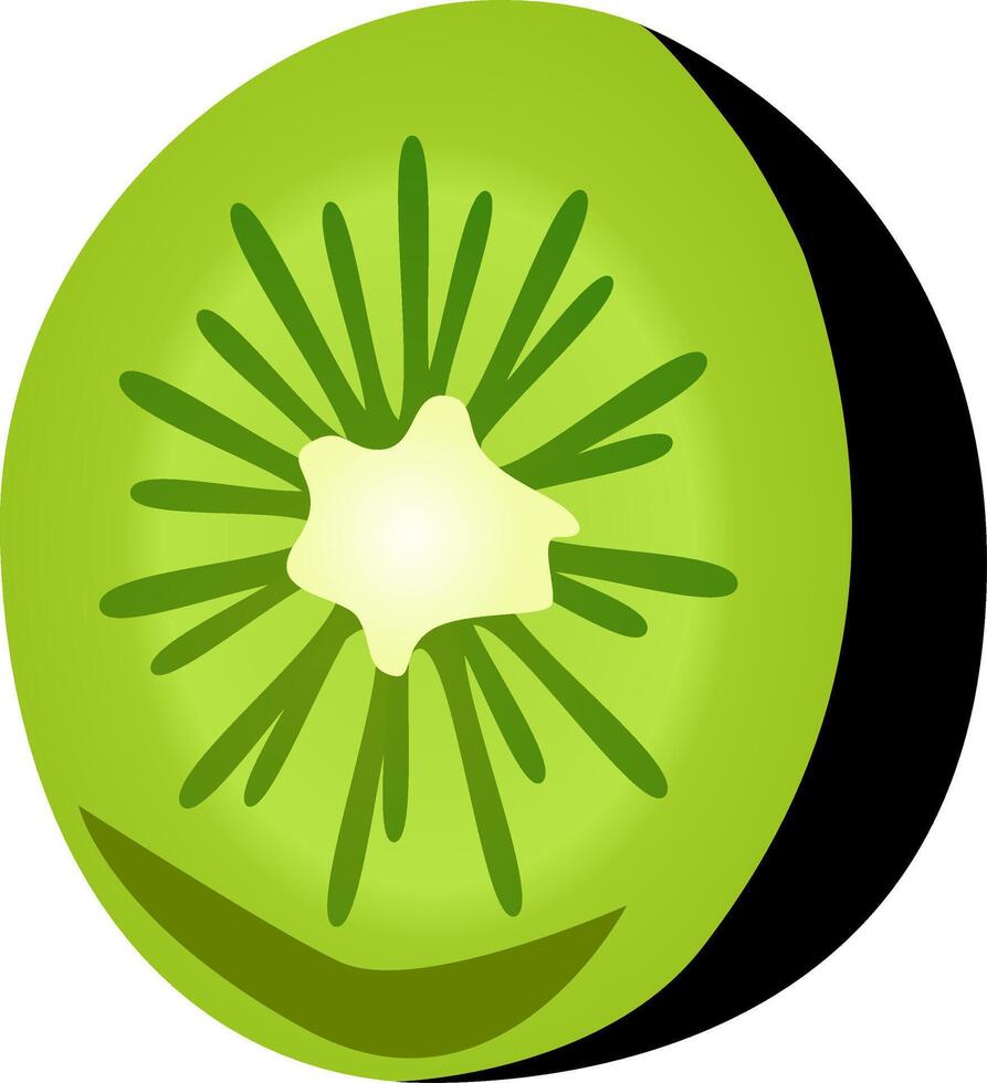 Kiwi frutta isolato su un' bianca sfondo. vettore illustrazione.