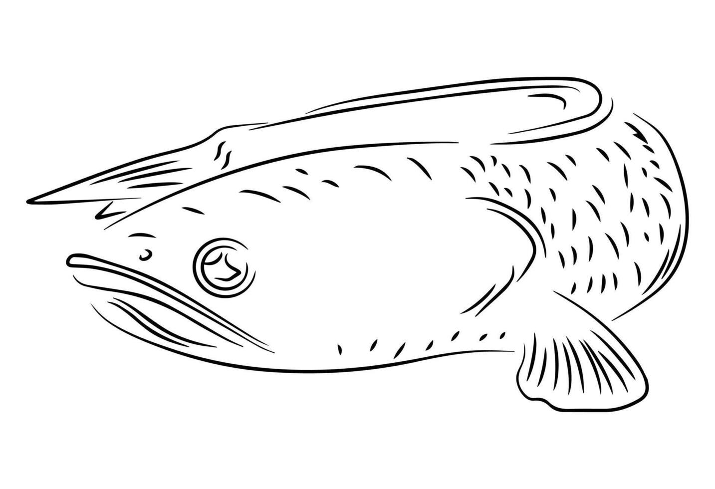 channa pesce linea arte illustrazione design vettore