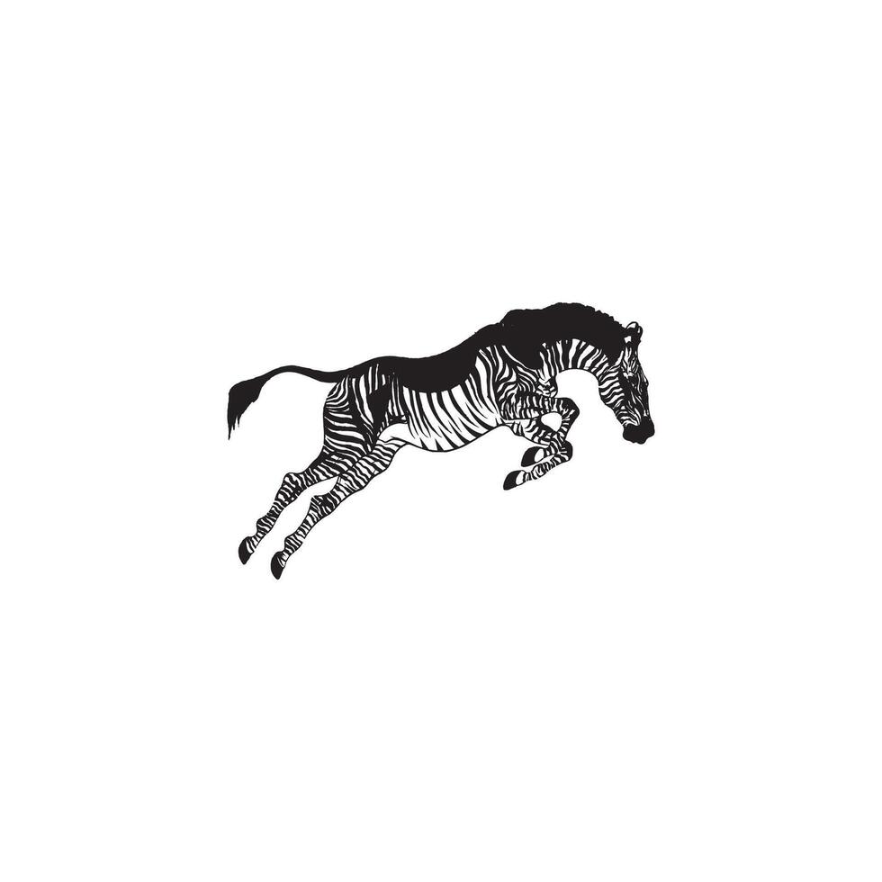 zebra logo design ispirazione. zebra logo su bianca sfondo vettore