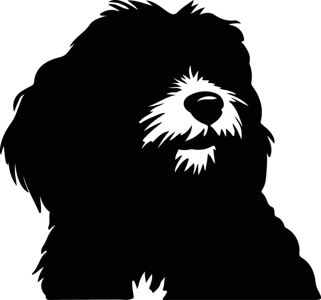 havanese nero silhouette vettore