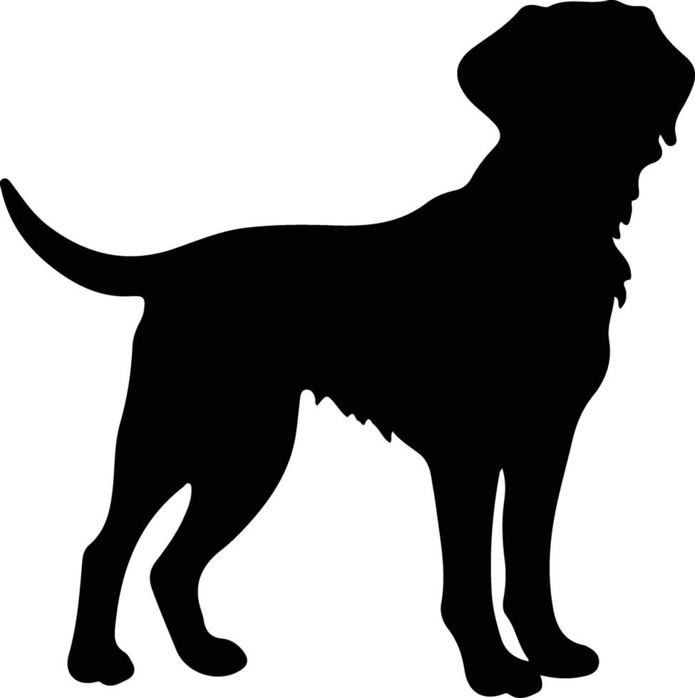 chesapeake baia cane da riporto nero silhouette vettore