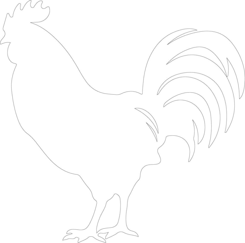 gallina schema silhouette vettore