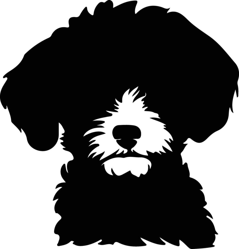 bichon frise silhouette ritratto vettore