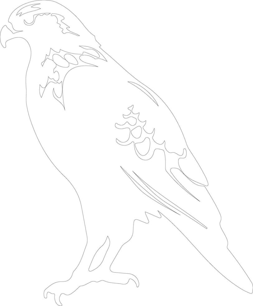 coda rossa falco schema silhouette vettore