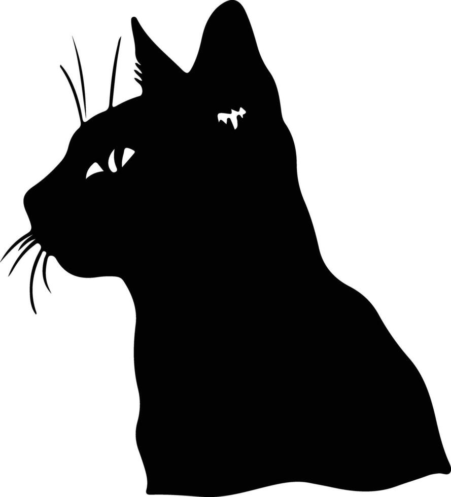 bombay gatto silhouette ritratto vettore