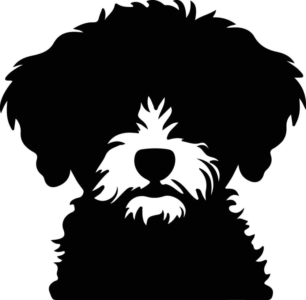 bichon frise silhouette ritratto vettore