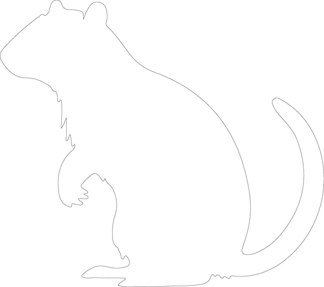 agouti schema silhouette vettore