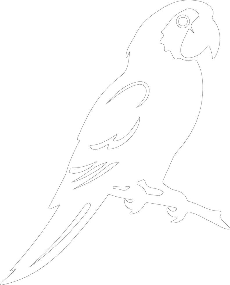 pappagallo schema silhouette vettore
