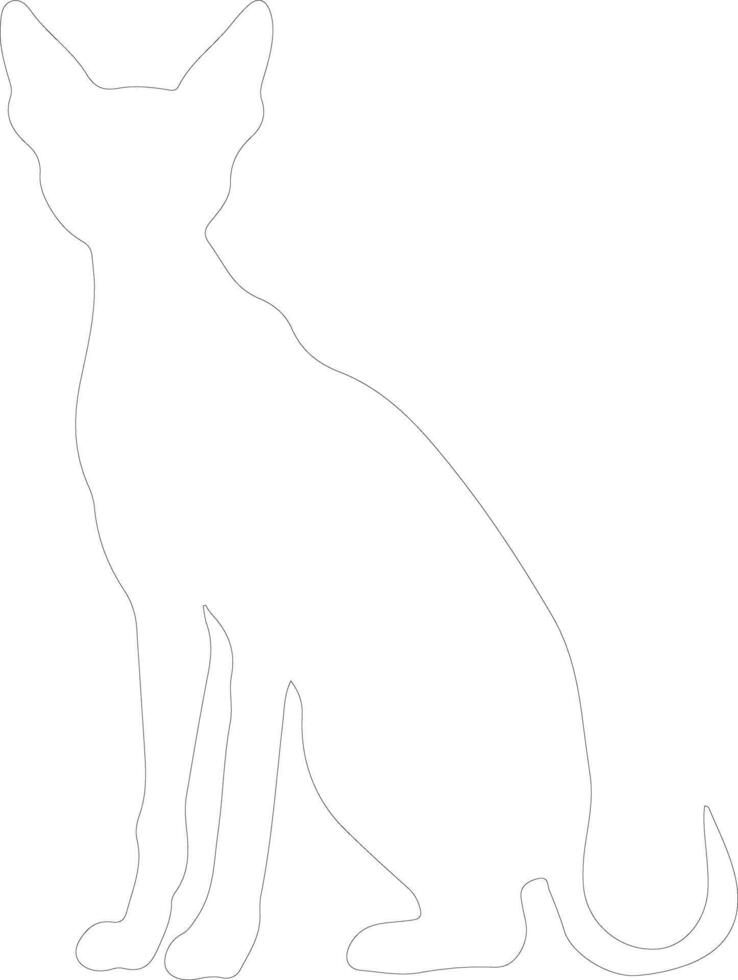 peterbald gatto schema silhouette vettore