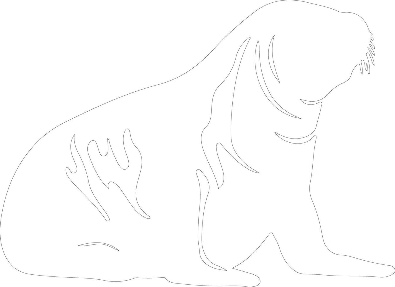 settentrionale elefante foca schema silhouette vettore