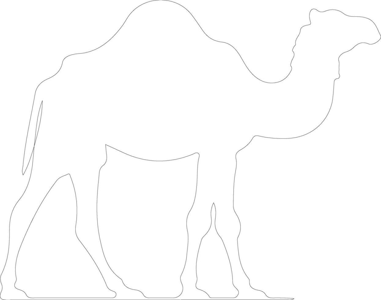 bactrian cammello schema silhouette vettore