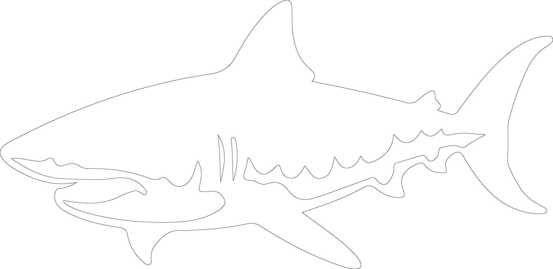 tigre squalo schema silhouette vettore