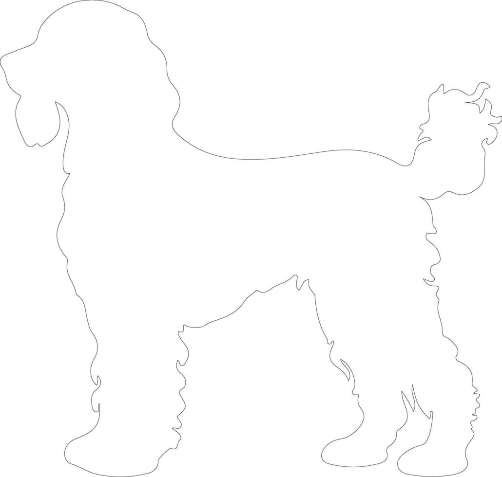 irlandesi acqua spaniel schema silhouette vettore