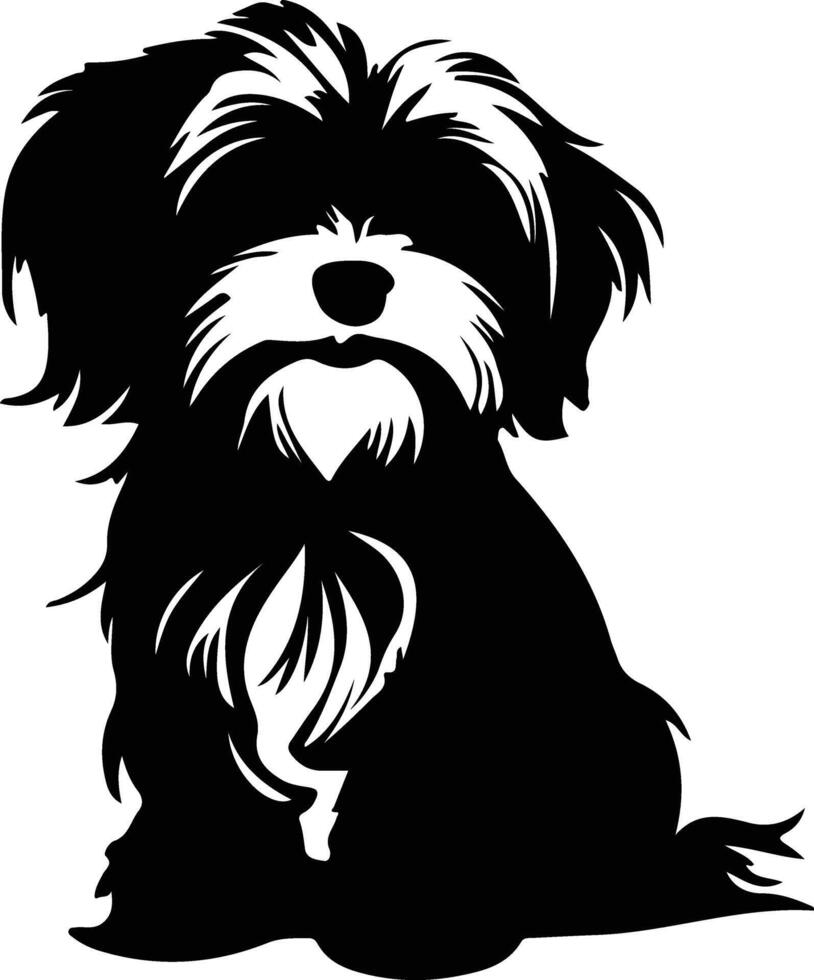 havanese nero silhouette vettore