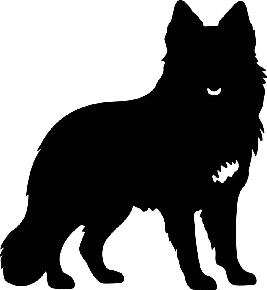 finlandese spitz nero silhouette vettore