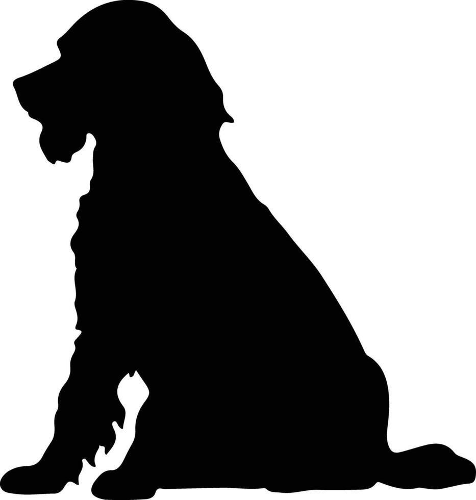 irlandesi acqua spaniel nero silhouette vettore