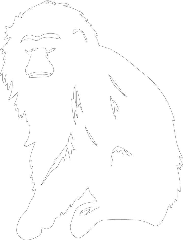 siamang schema silhouette vettore