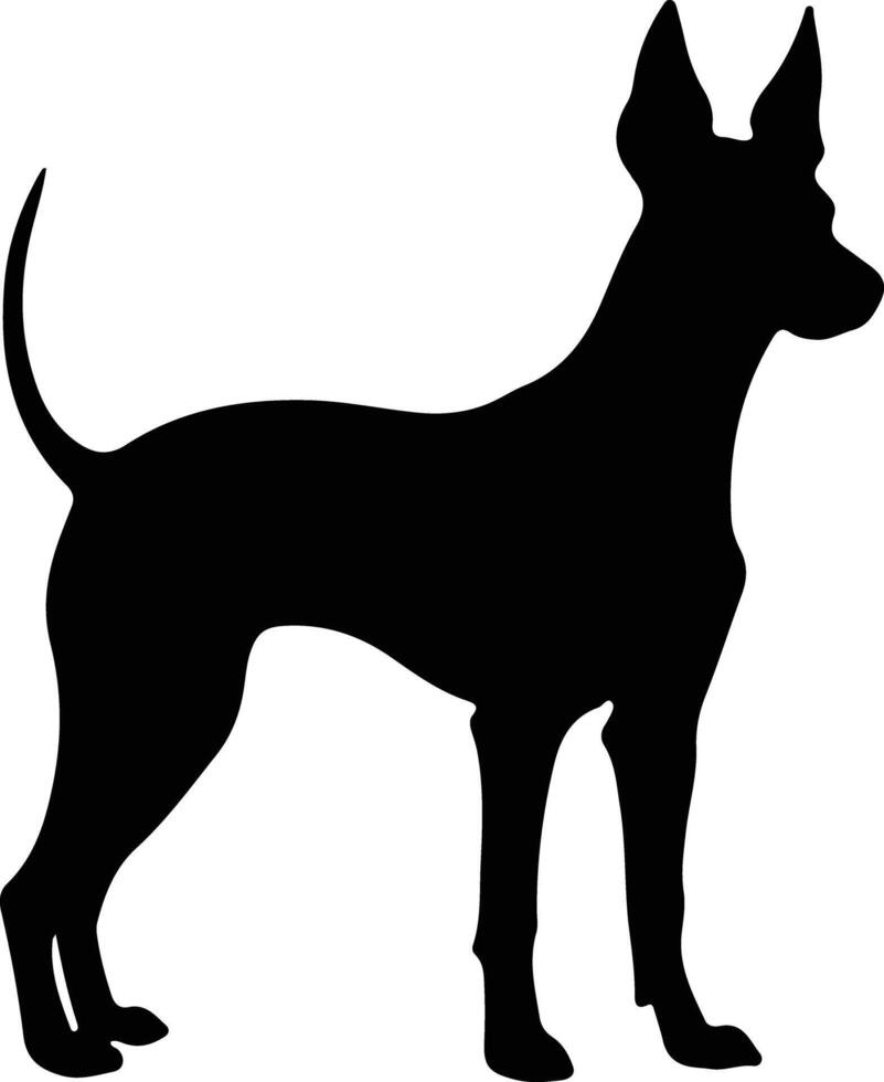 xoloitzcuintli messicano senza peli cane nero silhouette vettore