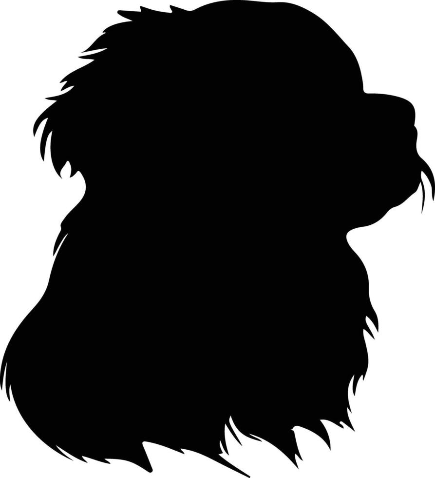 tibetano spaniel silhouette ritratto vettore