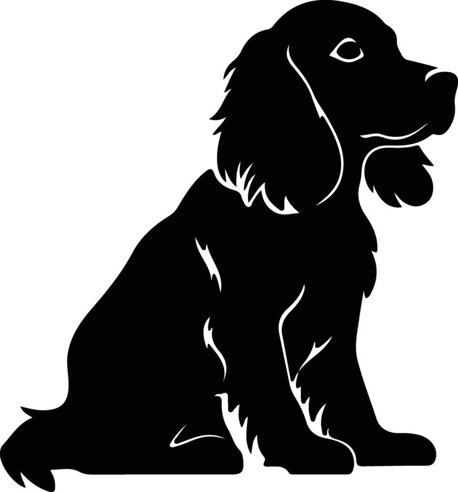 americano acqua spaniel nero silhouette vettore