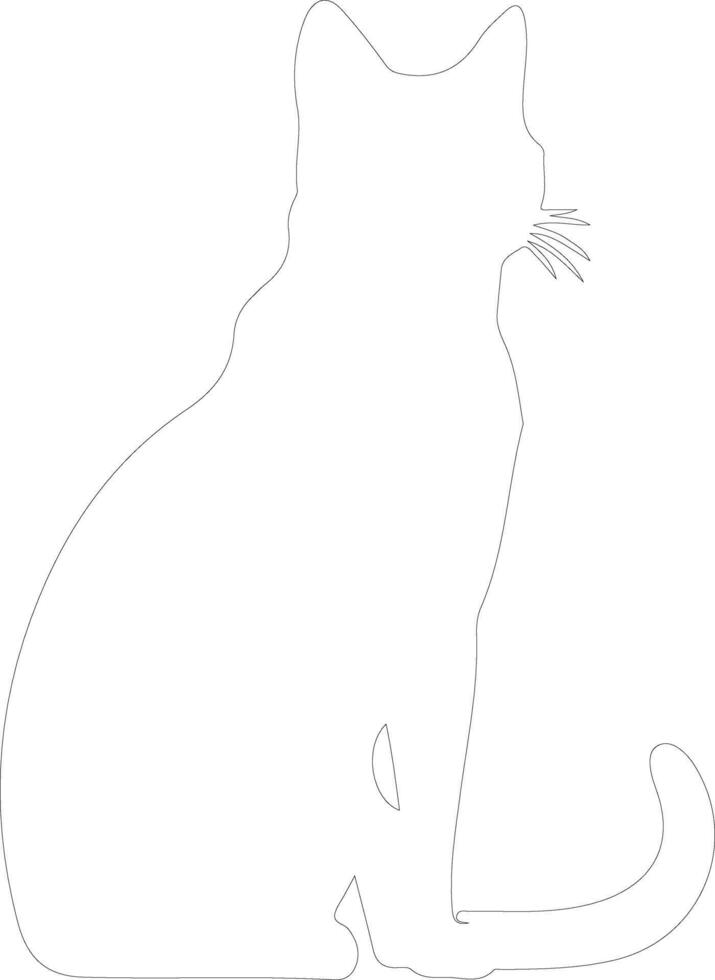 europeo capelli corti gatto schema silhouette vettore