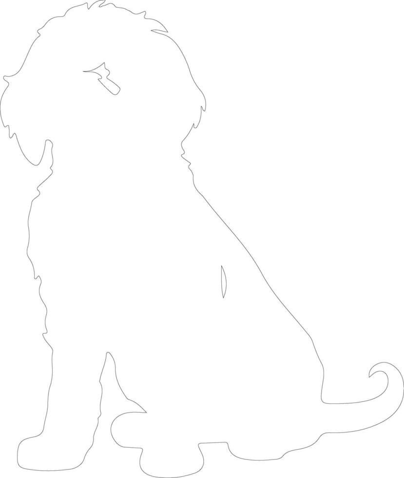 portoghese acqua cane schema silhouette vettore
