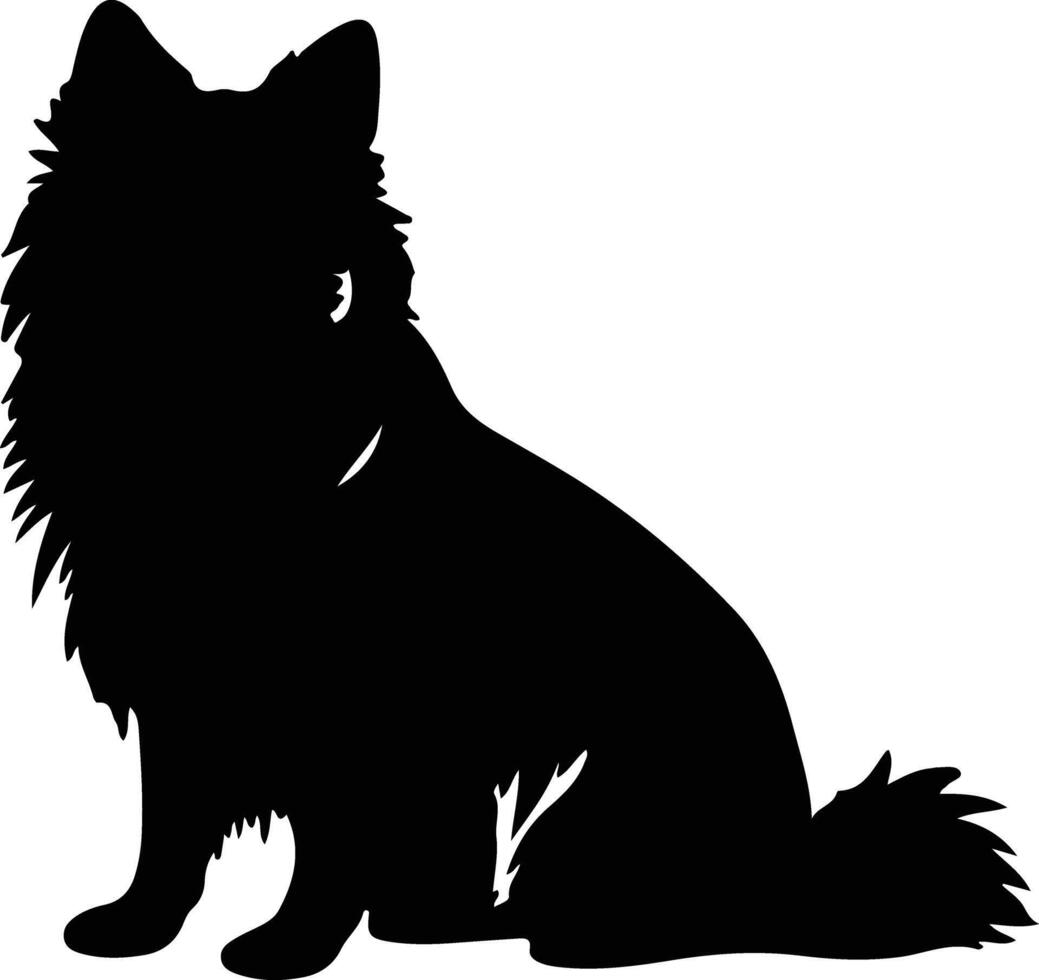 schipperke nero silhouette vettore