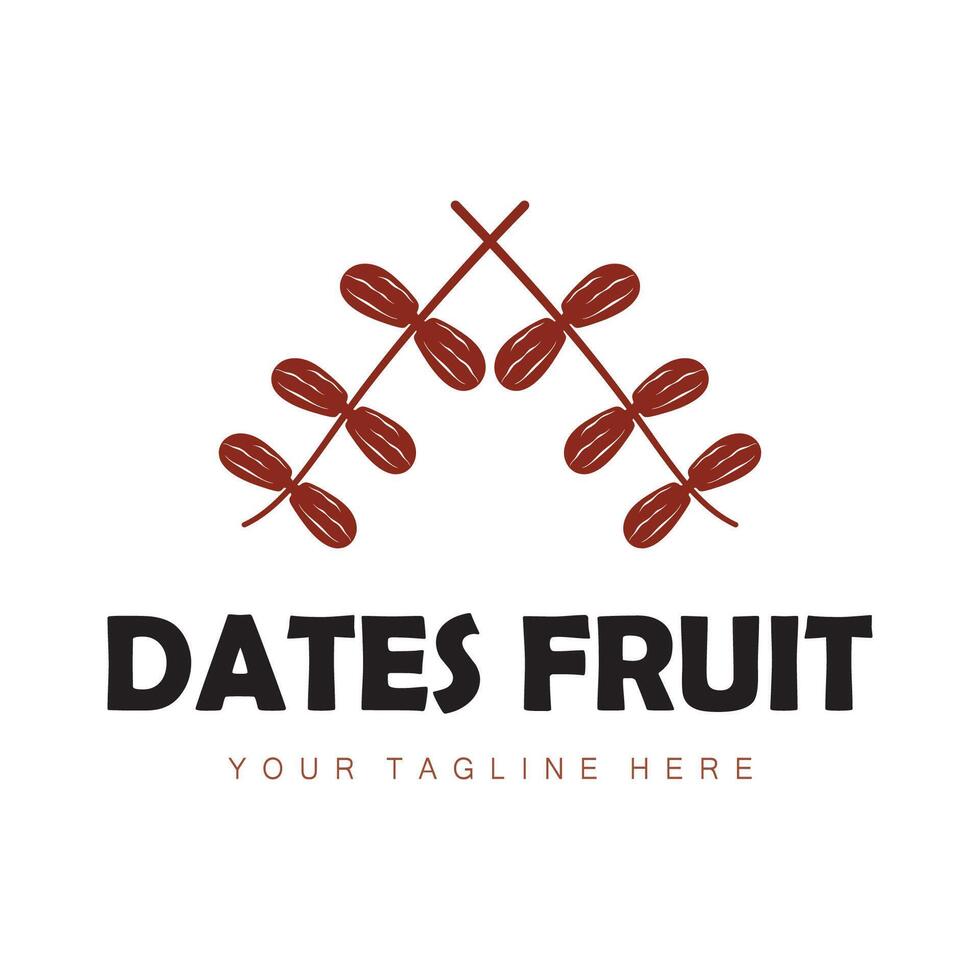 Data palma frutta pianta logo design con foglie, semi e Data palma albero isolato sfondo esotico biologico pianta. vettore