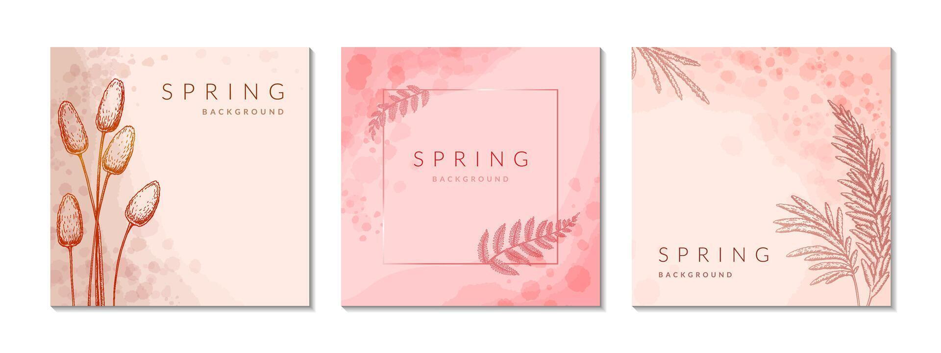 primavera estate loral sociale media piazza inviare modelli impostare. acquerello verde, beige, rosa, pastello astratto fiore sfondo e saluto carte design. cerchio e piazza botanico pianta telaio vettore