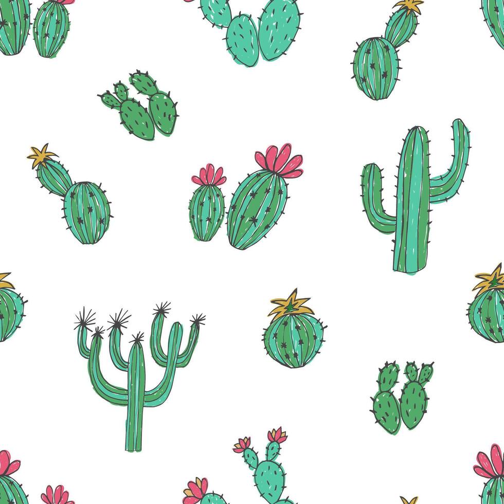 naturale senza soluzione di continuità modello con mano disegnato verde cactus su bianca sfondo. fioritura messicano deserto impianti. botanico vettore illustrazione per sfondo, involucro carta, tessile Stampa, sfondo.