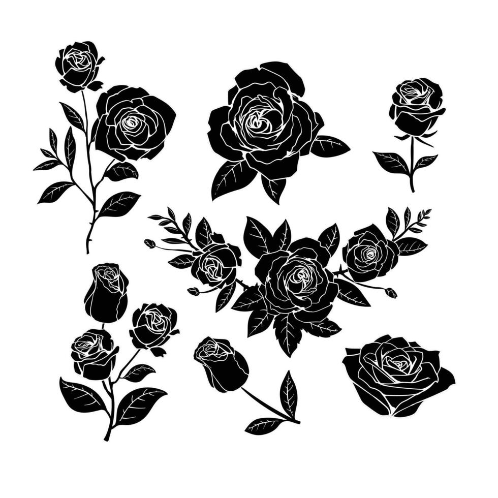 rosa fiore mano disegnato elemento design vettore