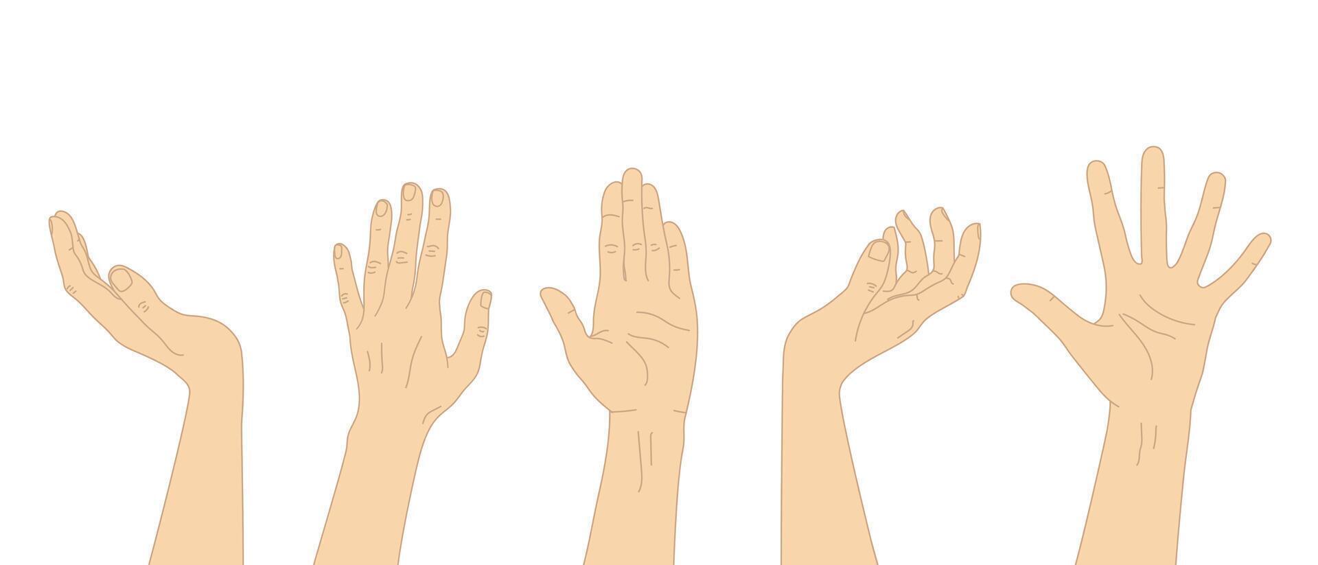 impostato di diverso mano gesti sollevato braccia con Aperto mano palma. vettore illustrazione