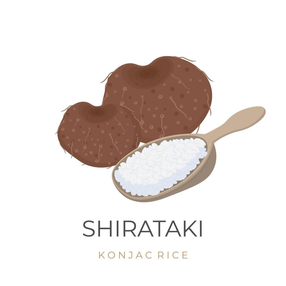 vettore illustrazione logo di konjac tuberi o porang tuberi con shirataki riso