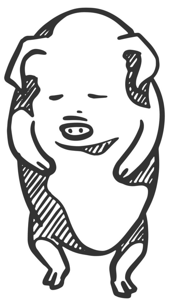 mano disegnato maiale illustrazione vettore