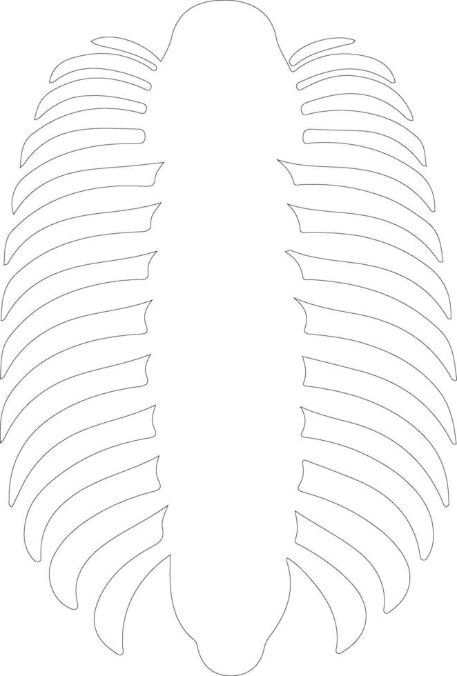 trilobite schema silhouette vettore