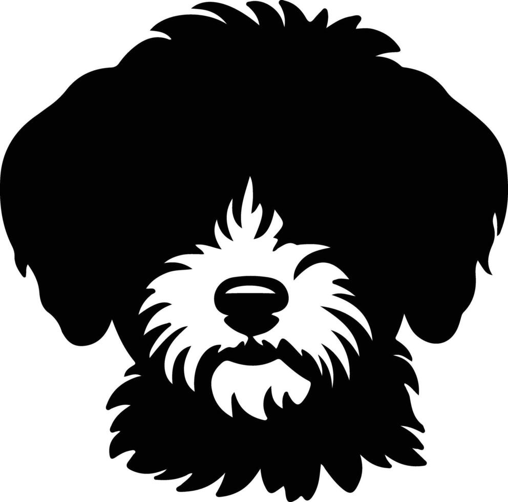 bichon frise silhouette ritratto vettore