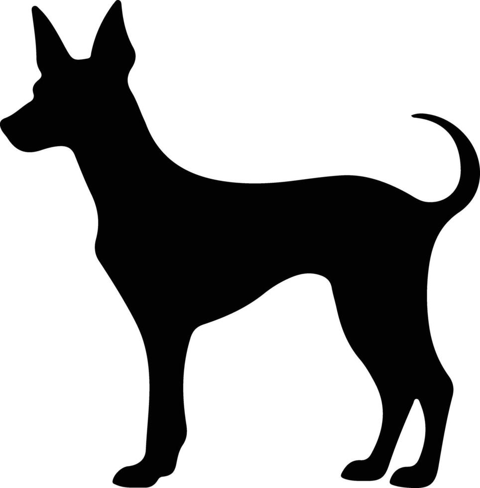 xoloitzcuintli messicano senza peli cane nero silhouette vettore