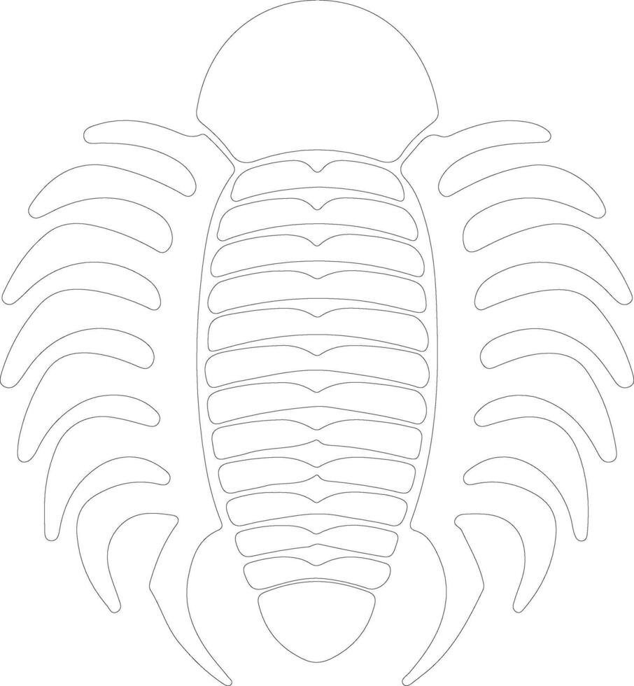 trilobite schema silhouette vettore