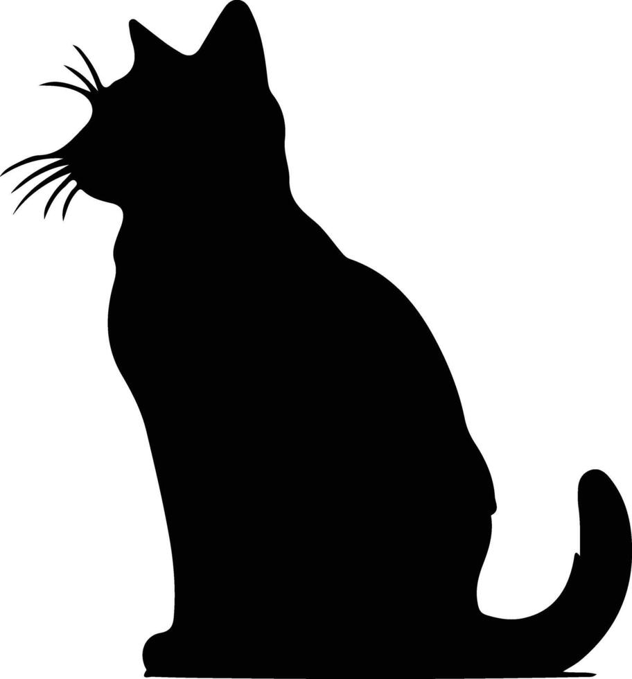 sokoke gatto nero silhouette vettore