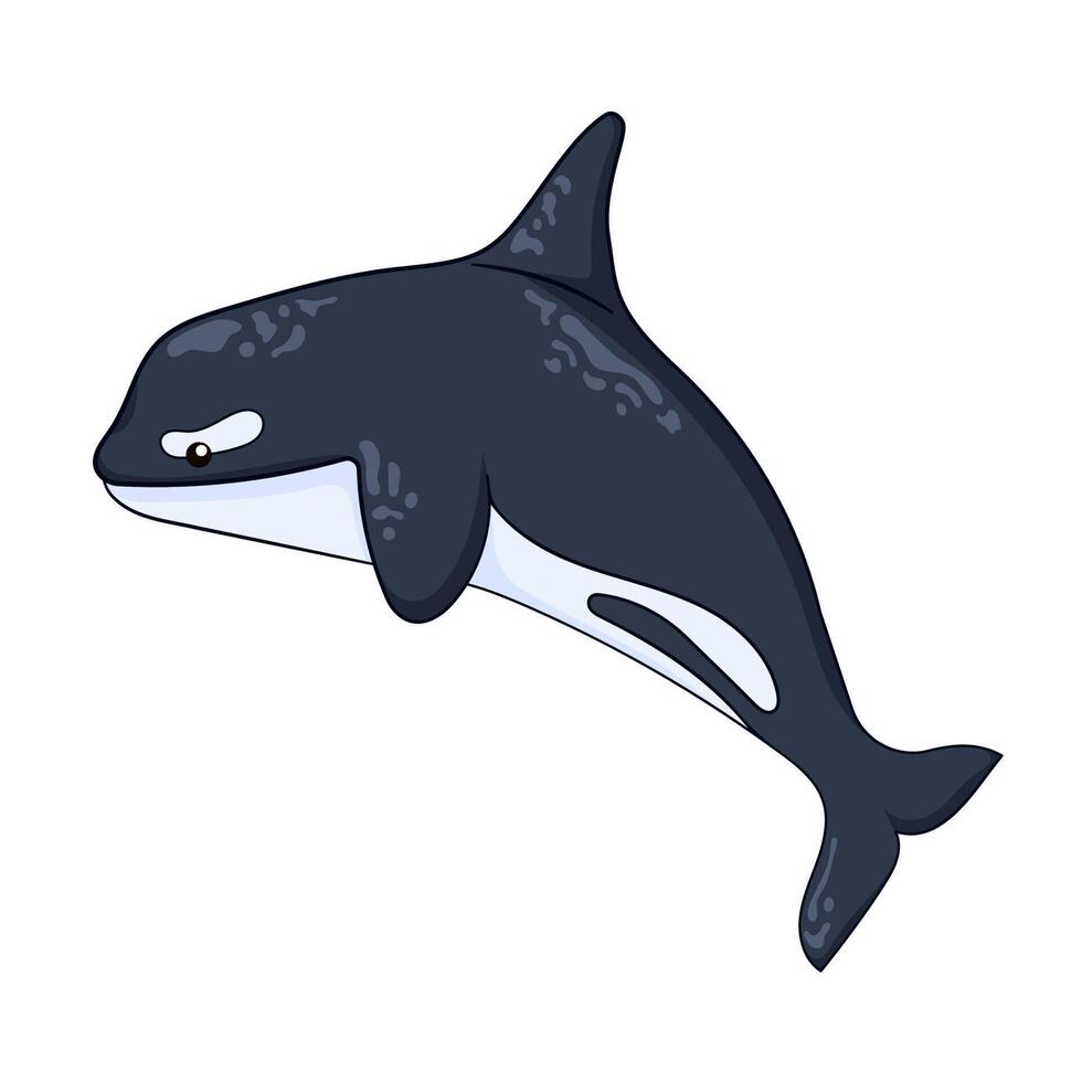 cartone animato arte personaggio uccisore balena, orca. carino sottomarino animale per bambini libro. vettore illustrazione isolato su un' bianca sfondo.