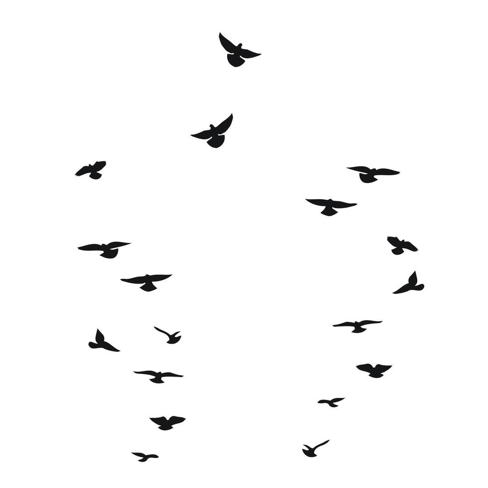 schizzo silhouette di un' gregge di volante nero uccelli. colombe, piccioni, Corvo, corvo, gabbiano, gabbiano, passero, isolato vettore