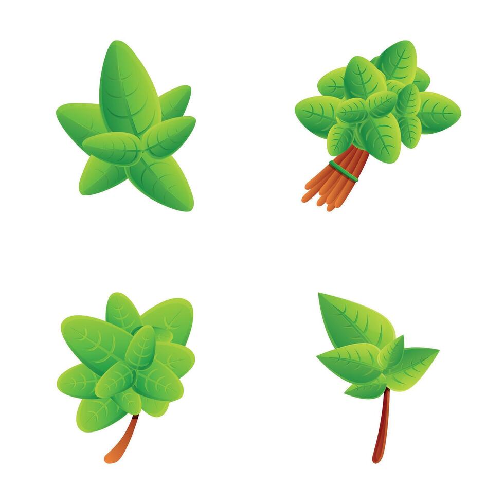 basilico icone impostato cartone animato vettore. basilico stelo con verde foglia vettore