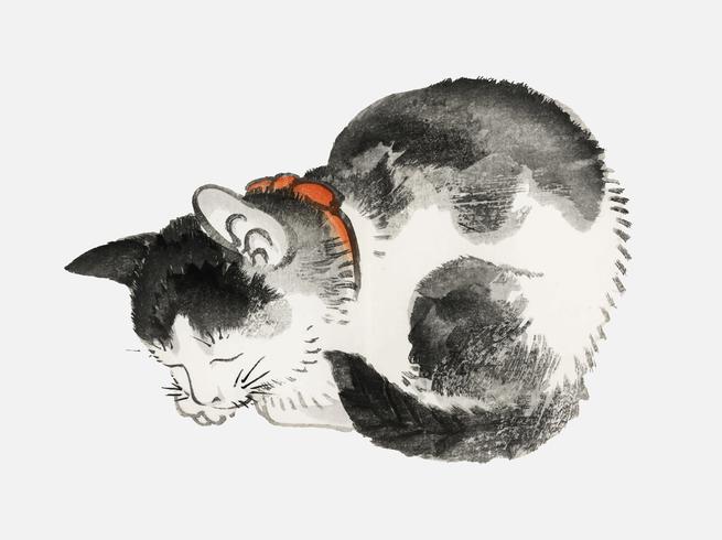 Gatto dormiente di K? No Bairei (1844-1895). Miglioramento digitale della nostra originale edizione 1913 di Bairei Gakan. vettore